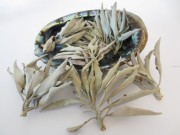 Muszla Abalone Duża Ezoteryka Biała Szałwia.jpg